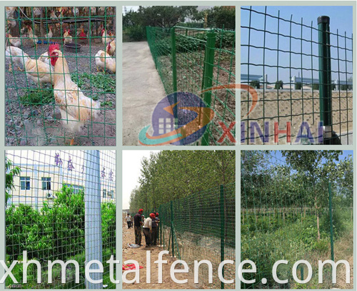 Holland Wire Mesh Fence